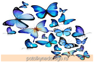 Фотопечать бабочки, Фото 34