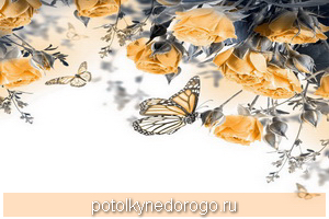 Фотопечать бабочки, Фото 12