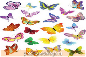Фотопечать бабочки, Фото 20