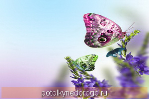 Фотопечать бабочки, Фото 28