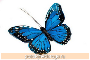 Фотопечать бабочки, Фото 29